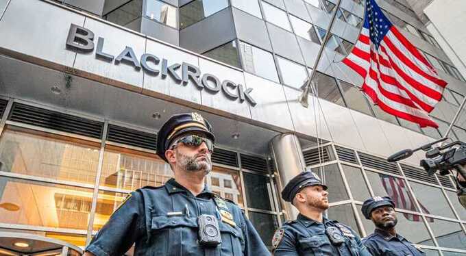 BlackRock оказалась под прицелом ОЭСР из-за инвестиций, ведущих к разрушению Амазонии