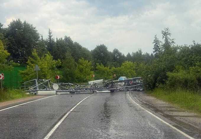 Ураган с градом повалил деревья и вышку связи в Подмосковье