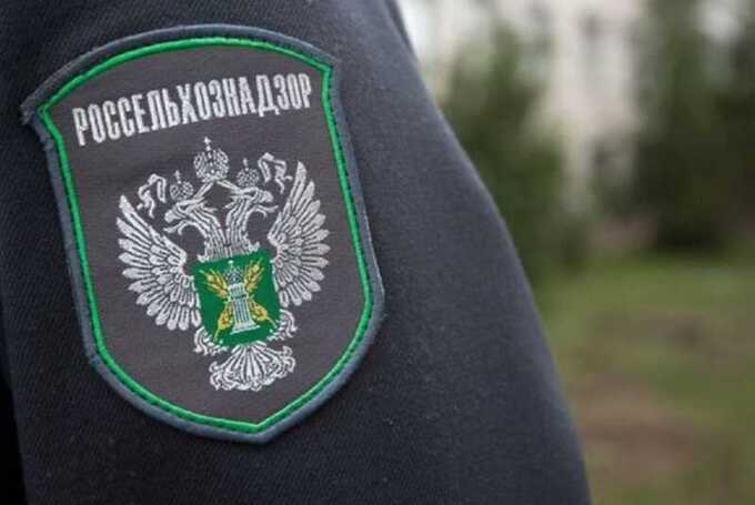В ЯНАО Россельхознадзор выявил нарушения ветеринарных правил на крупном предприятии