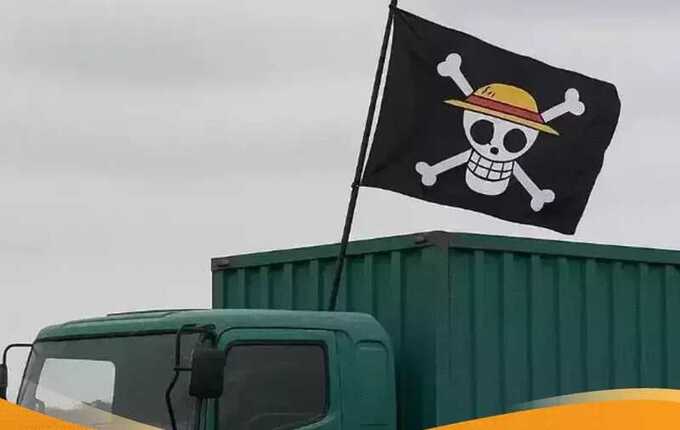 Флаг пиратов Соломенных Шляп из One Piece стал символом протестов в Индонезии