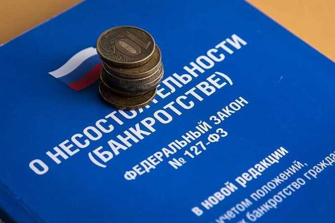 Предпринимателя Александра Брума обвинили в уклонении от налогов и разорении компании «Телевик Инжиниринг»